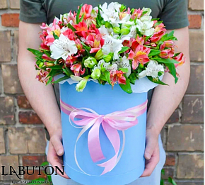 Шляпная коробка Альстромерии микс 15 шт Шляпная коробка Альстромерии микс 15 шт