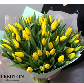 Букет 51 желтых тюльпан Букет 51 желтых тюльпан