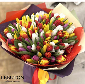 Букет 51 тюльпан микс Букет 51 тюльпан микс