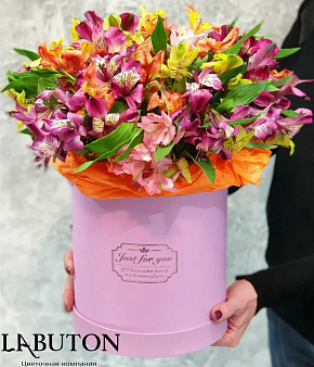 Шляпная коробка микс Альстромерии 15 шт Шляпная коробка микс Альстромерии 15 шт