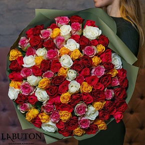 71 роза микс 71 роза микс