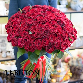 51 красная роза 51 красная роза