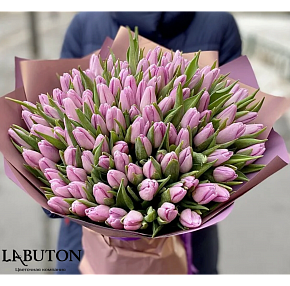 Букет тюльпан 51 шт Букет тюльпан 51 шт