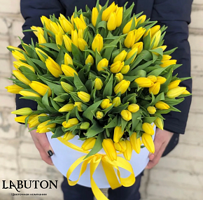 Шляпная коробка 51 тюльпан Шляпная коробка 51 тюльпан