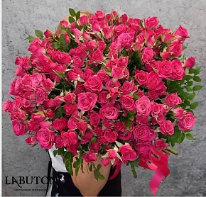 Кустовая роза премиум сортов Кустовая роза премиум сортов