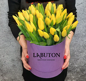 Желтые Тюльпаны в шляпной коробке Желтые Тюльпаны в шляпной коробке